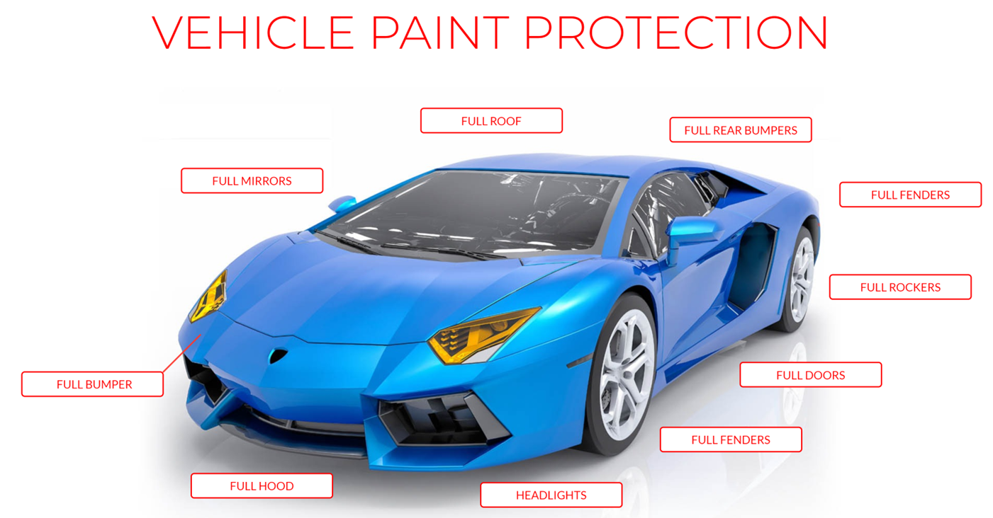 Infographic of Ways to Protect, Maintain and Make Your Car's Exterior Last